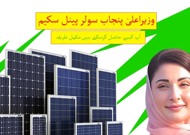 Everything You Need to Know About CM Punjab’s Free Solar Panel Scheme