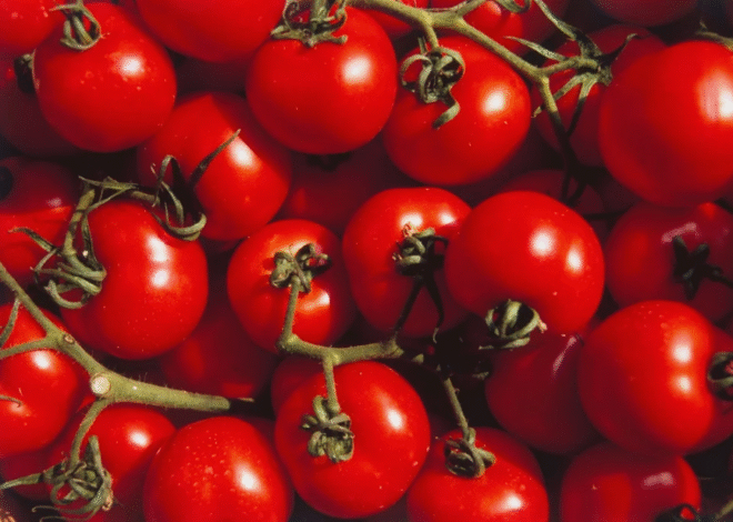 Tomato Prices Soar to Rs700 per Kilogram Across Pakistan
