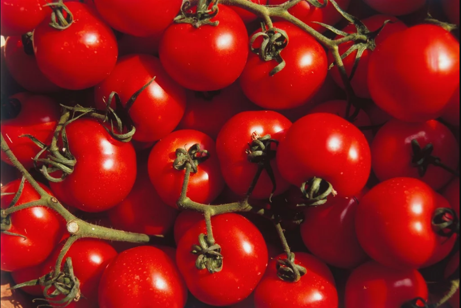 Tomato Prices Soar to Rs700 per Kilogram Across Pakistan