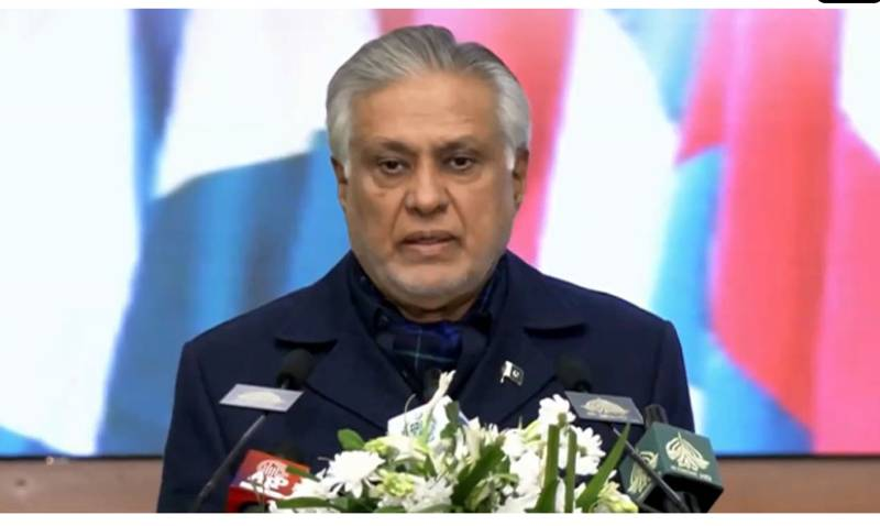 Ishaq Dar Urges Muslim Countries to Unite Against Terrorism, Calls for Stronger Ummah Solidarity