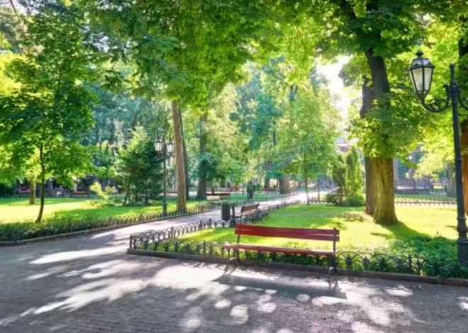 Punjab to Expand ‘Adopt-a-Park’ Scheme to Cities Across the Province