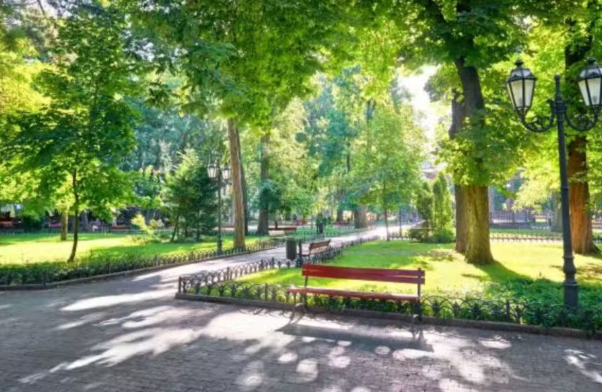 Punjab to Expand ‘Adopt-a-Park’ Scheme to Cities Across the Province