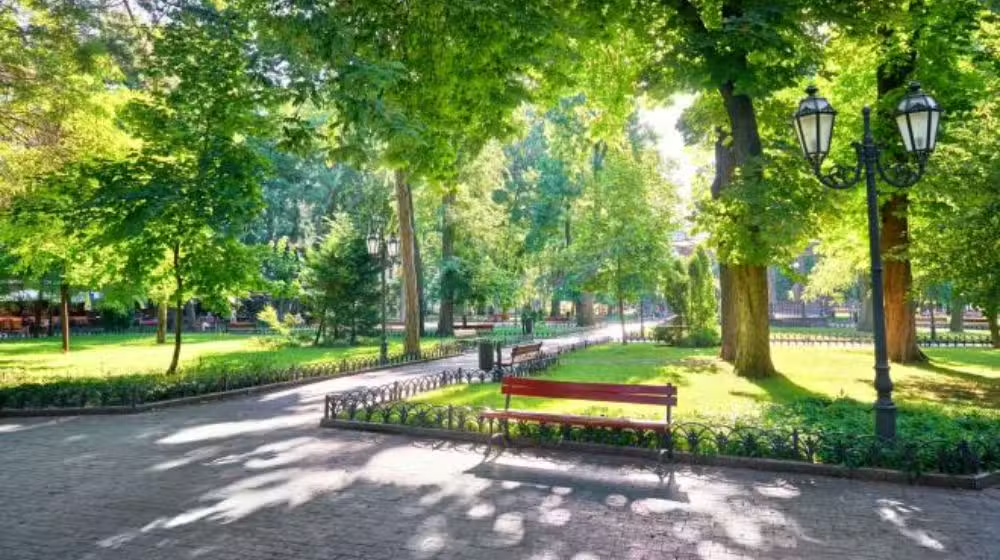 Punjab to Expand ‘Adopt-a-Park’ Scheme to Cities Across the Province