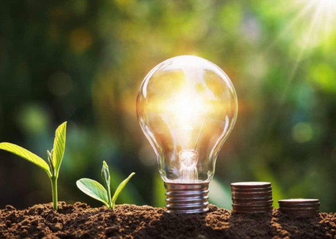 Govt Makes Energy-Efficient Products Mandatory to Cut Power Costs in Public Sector