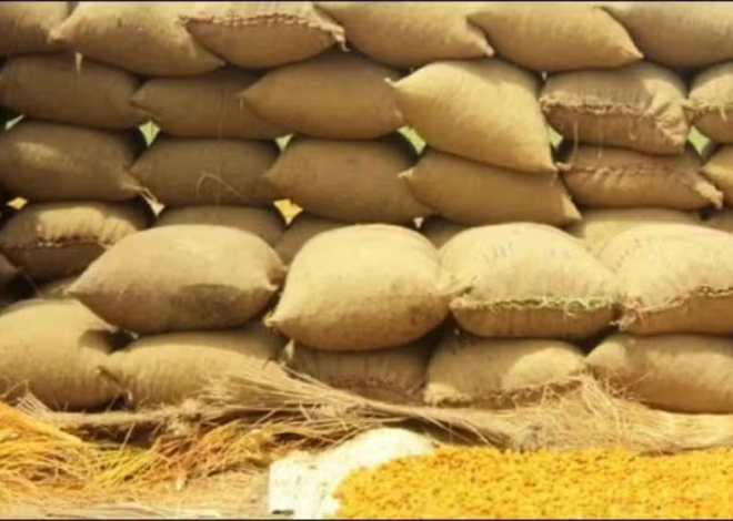 ECC Approves Sale of 500,000 Tons of Old Wheat Stock at Revised Prices