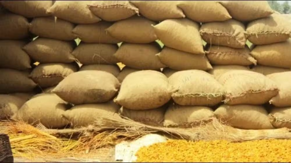 ECC Approves Sale of 500,000 Tons of Old Wheat Stock at Revised Prices