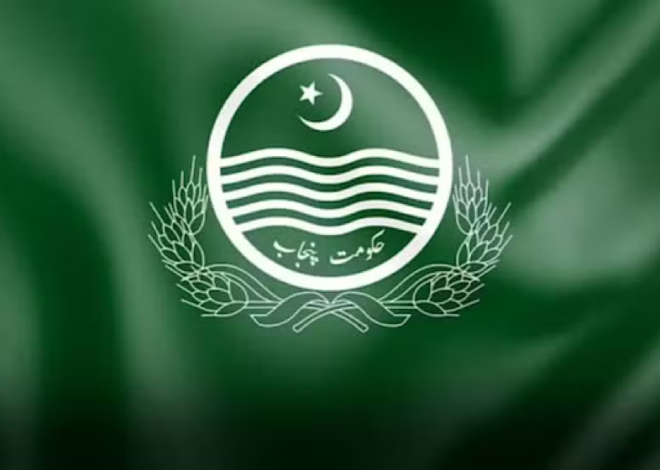 Zakat Department Approves Widow Support Card for Financial Assistance