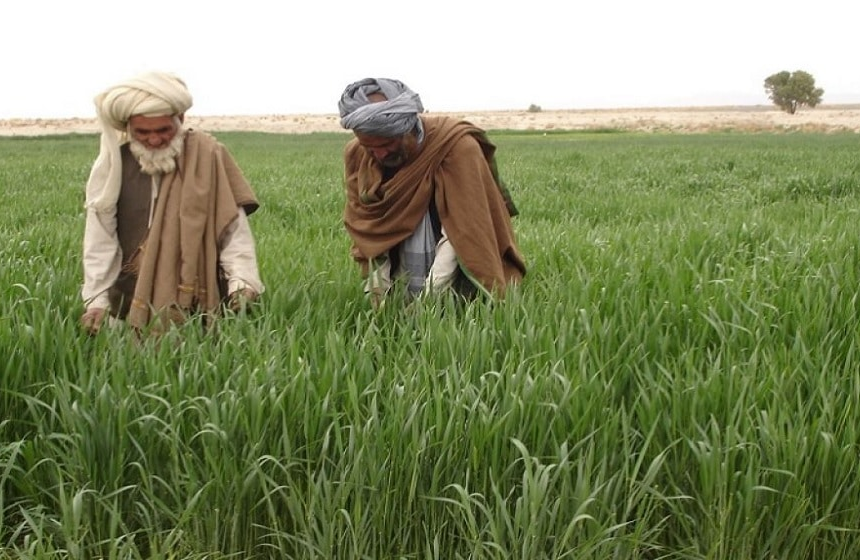 Government Delays Planned Tax Increase on Fertilizer and Pesticides
