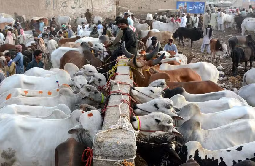 Punjab Government Announces Six-Day Eid ul Azha Holidays