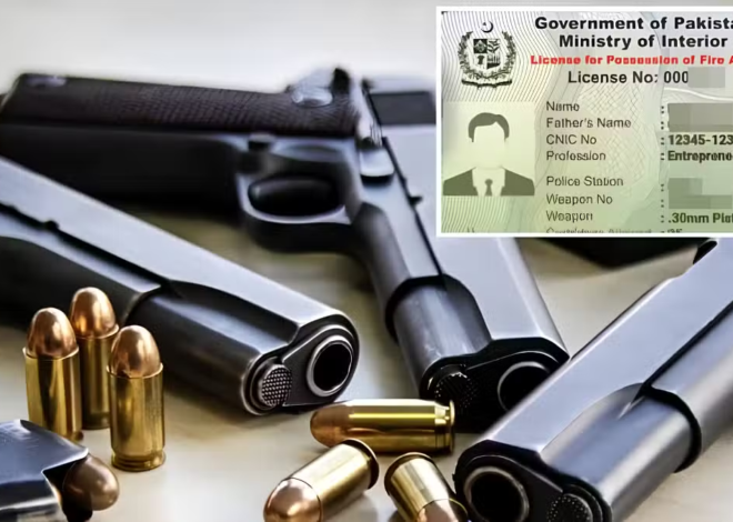 Audit Reveals Over 9,000 Suspected Fake Arms Licenses During Computerization Review
