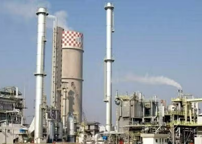 Three Fertilizer Plants Halt Urea Production Due to LNG Supply Shortage