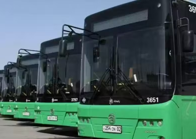 Punjab Approves 332 New Posts in Transport Authority