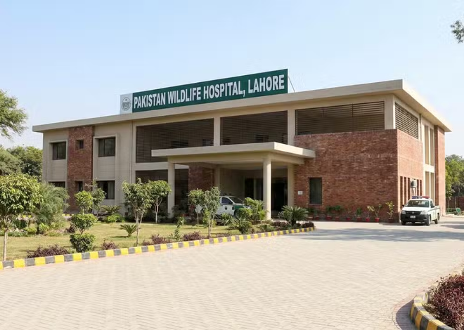 Punjab Completes Pakistan’s First Wildlife Hospital in Lahore
