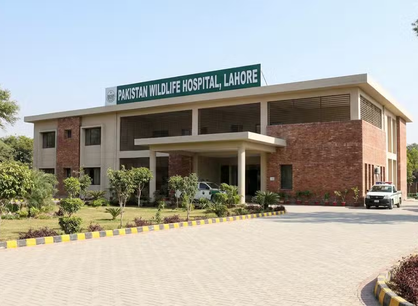 Punjab Completes Pakistan’s First Wildlife Hospital in Lahore