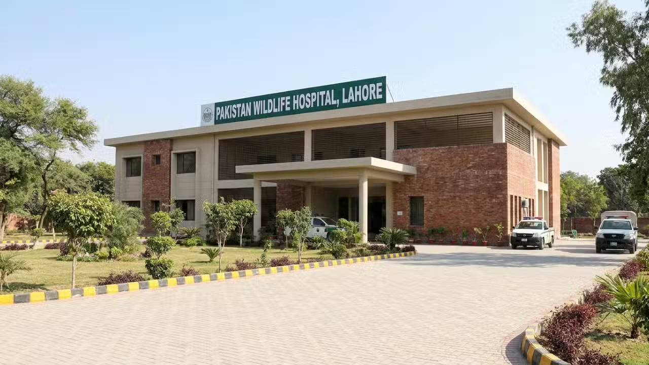 Punjab Completes Pakistan’s First Wildlife Hospital in Lahore